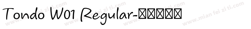 Tondo W01 Regular字体转换